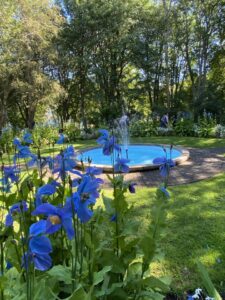 Deelnemers 16e Lentedrive  21 maart 2026